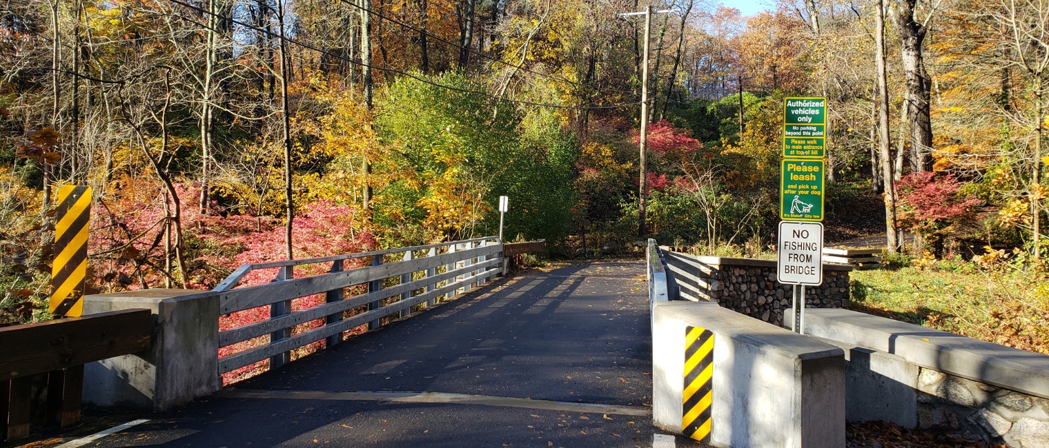 Acrow beam bridge